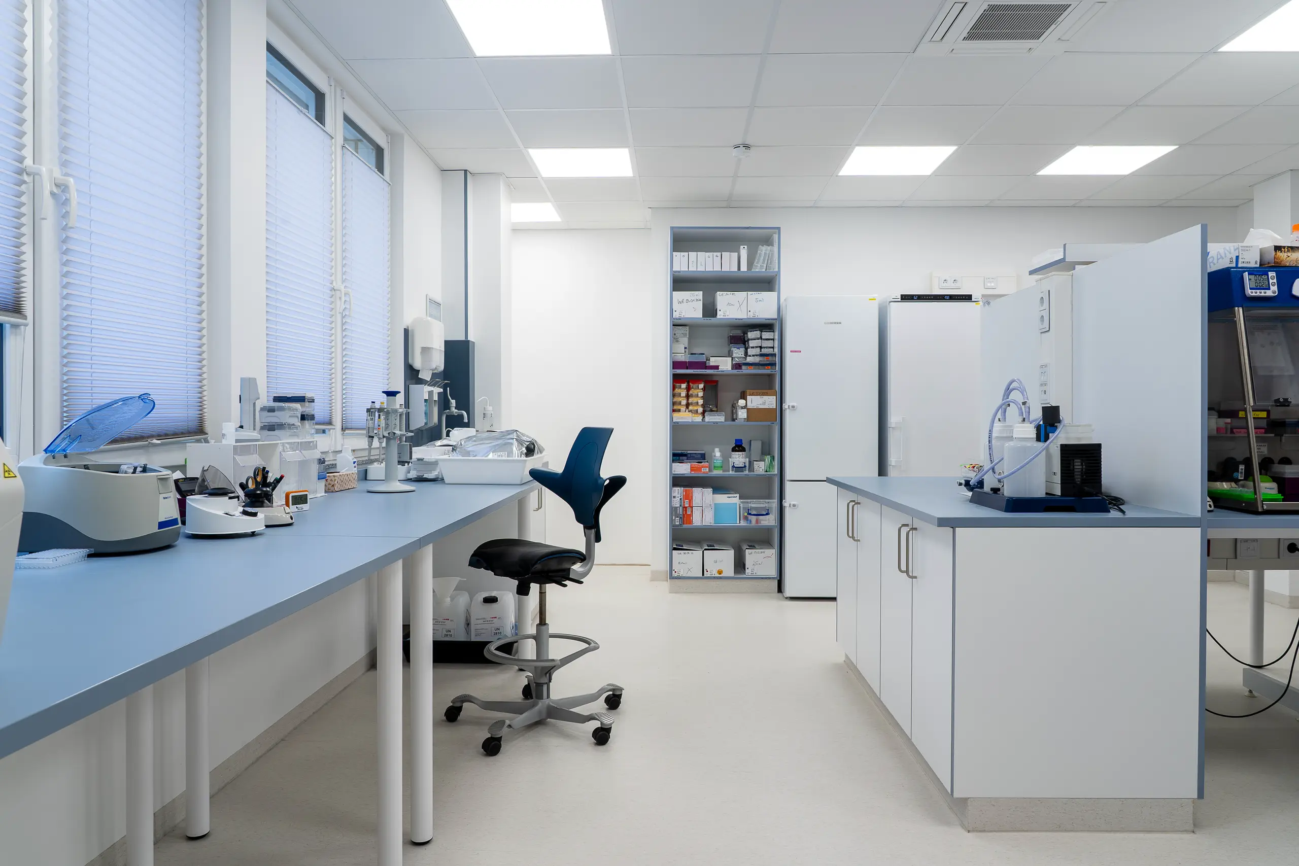 Tischlerei Pfaff Mahnke Genetik Mainz 2