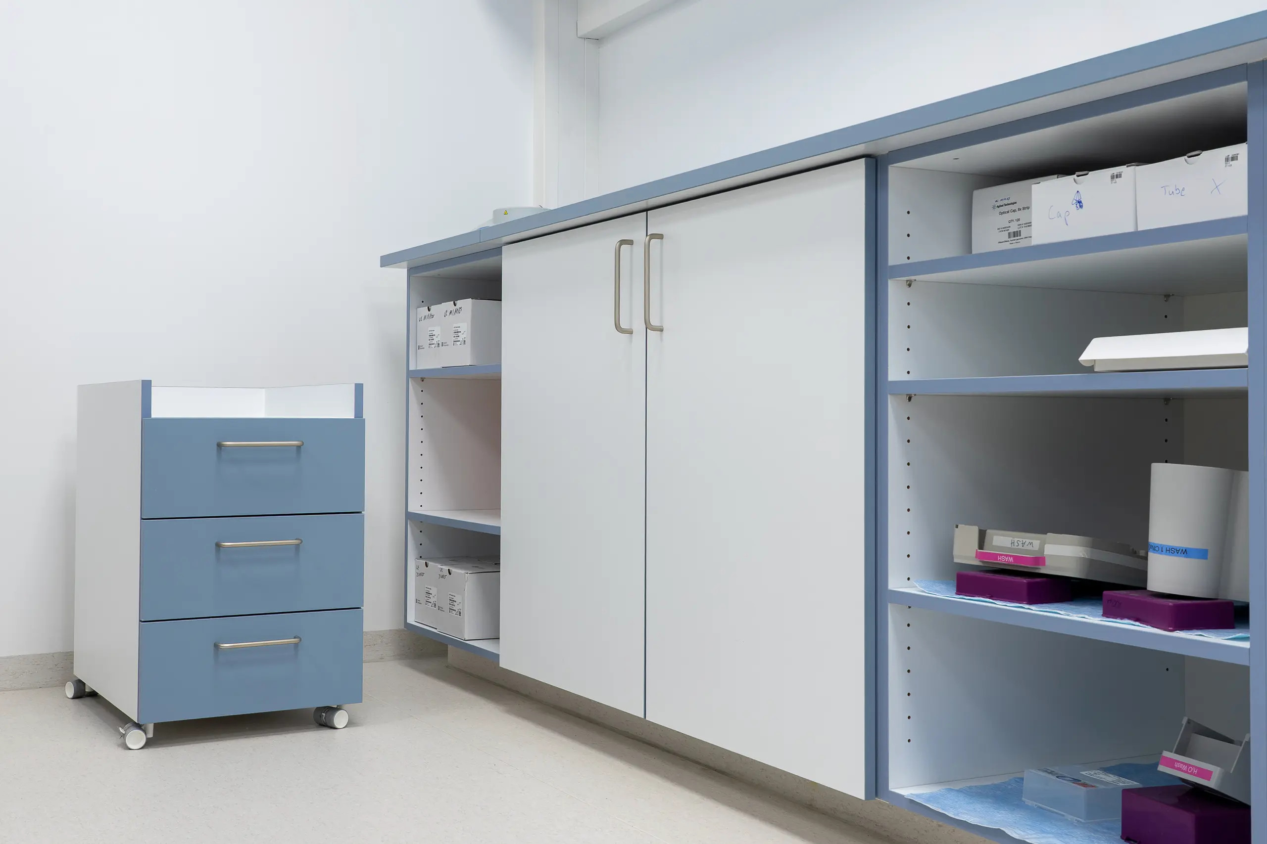 Tischlerei Pfaff Mahnke Genetik Mainz 3