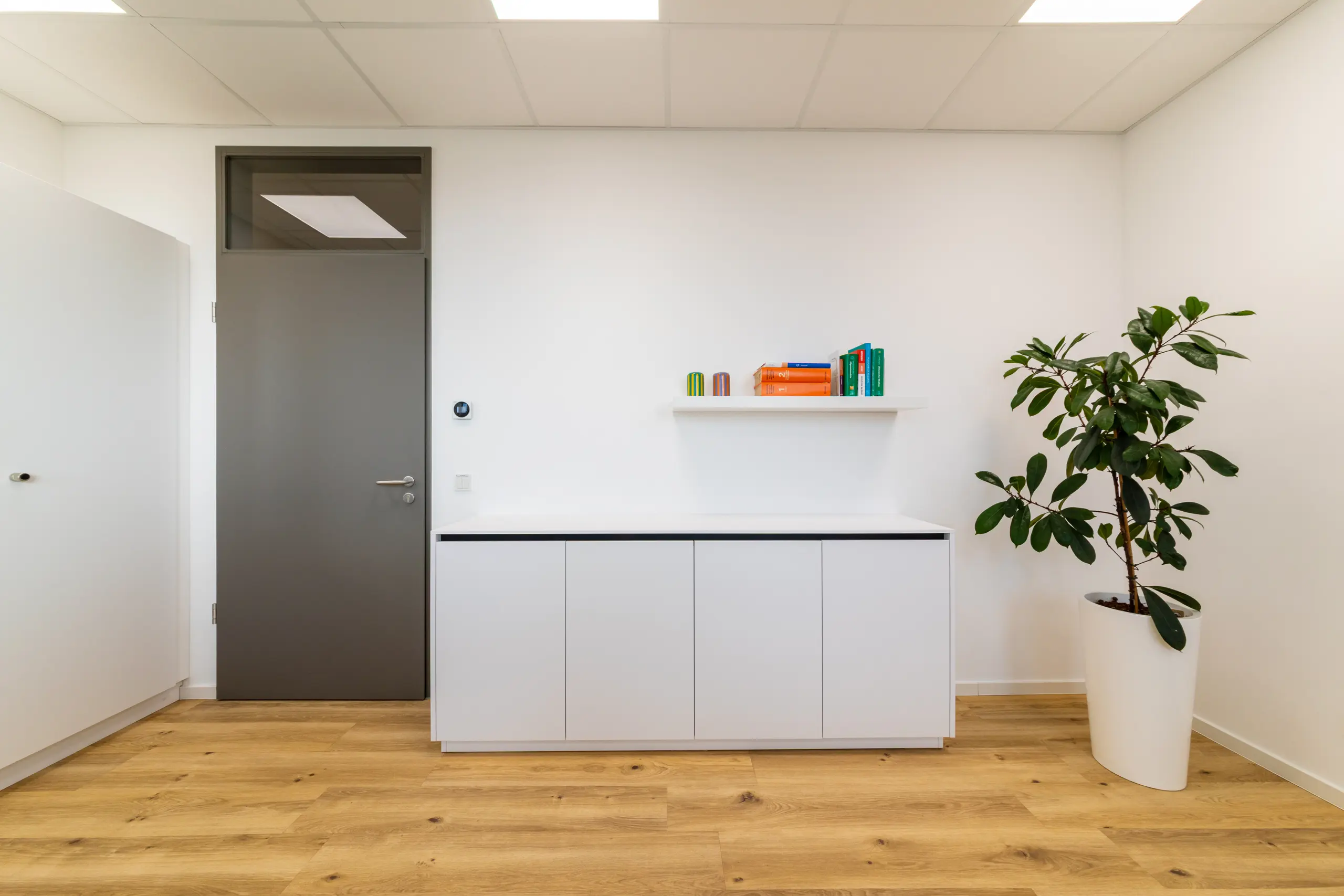 Tischlerei Pfaff Mahnke Ganzimmun Mainz 05