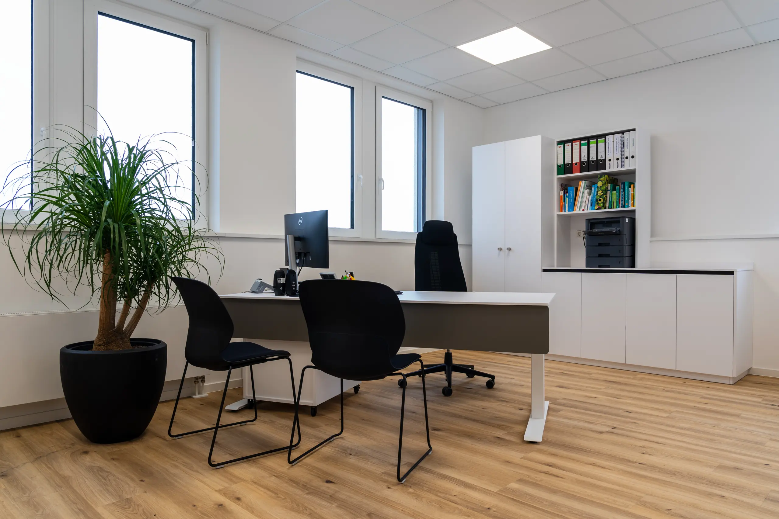 Tischlerei Pfaff Mahnke Ganzimmun Mainz 06