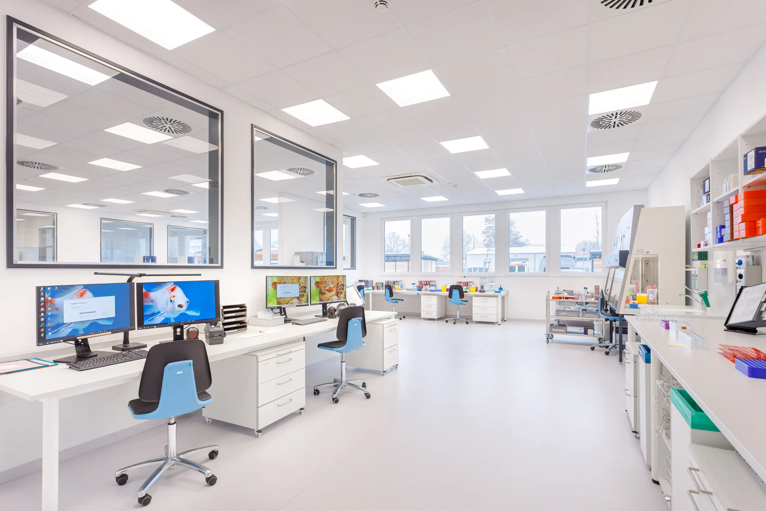 Tischlerei Pfaff Mahnke Ladbergen Laboreinrichtungen 07